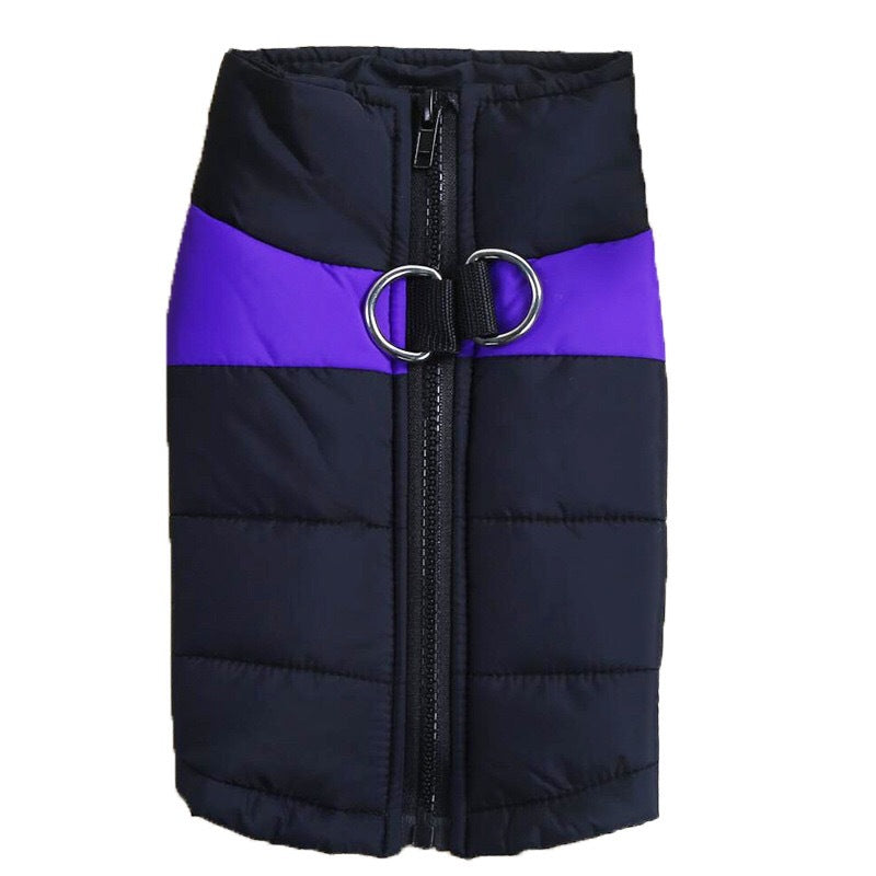 Padded dog vest close-up showing zip closure