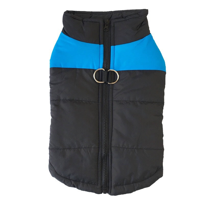 Dog wearing a warm padded PolarPet vest